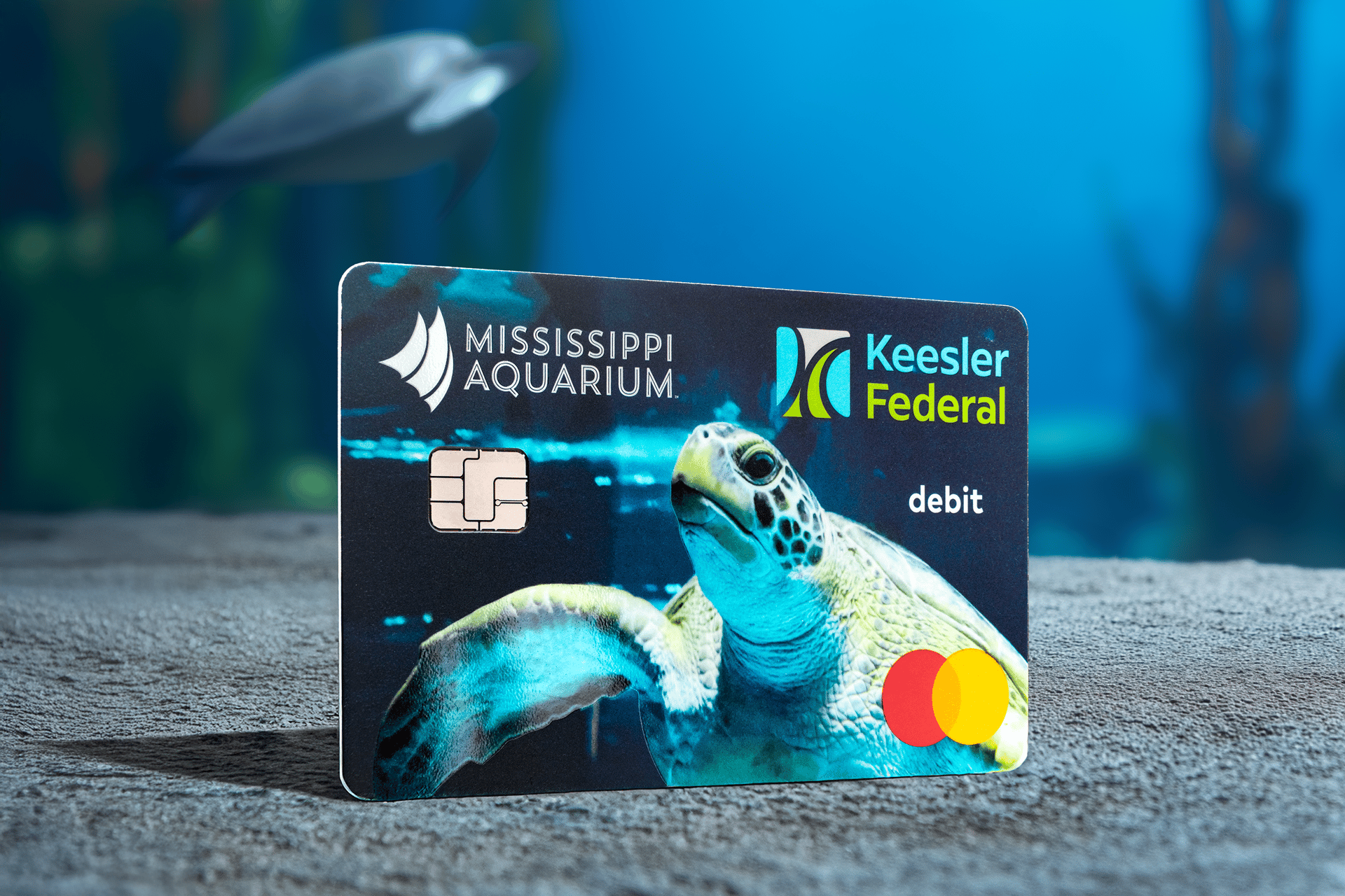 Aquarium-Debit-Scene