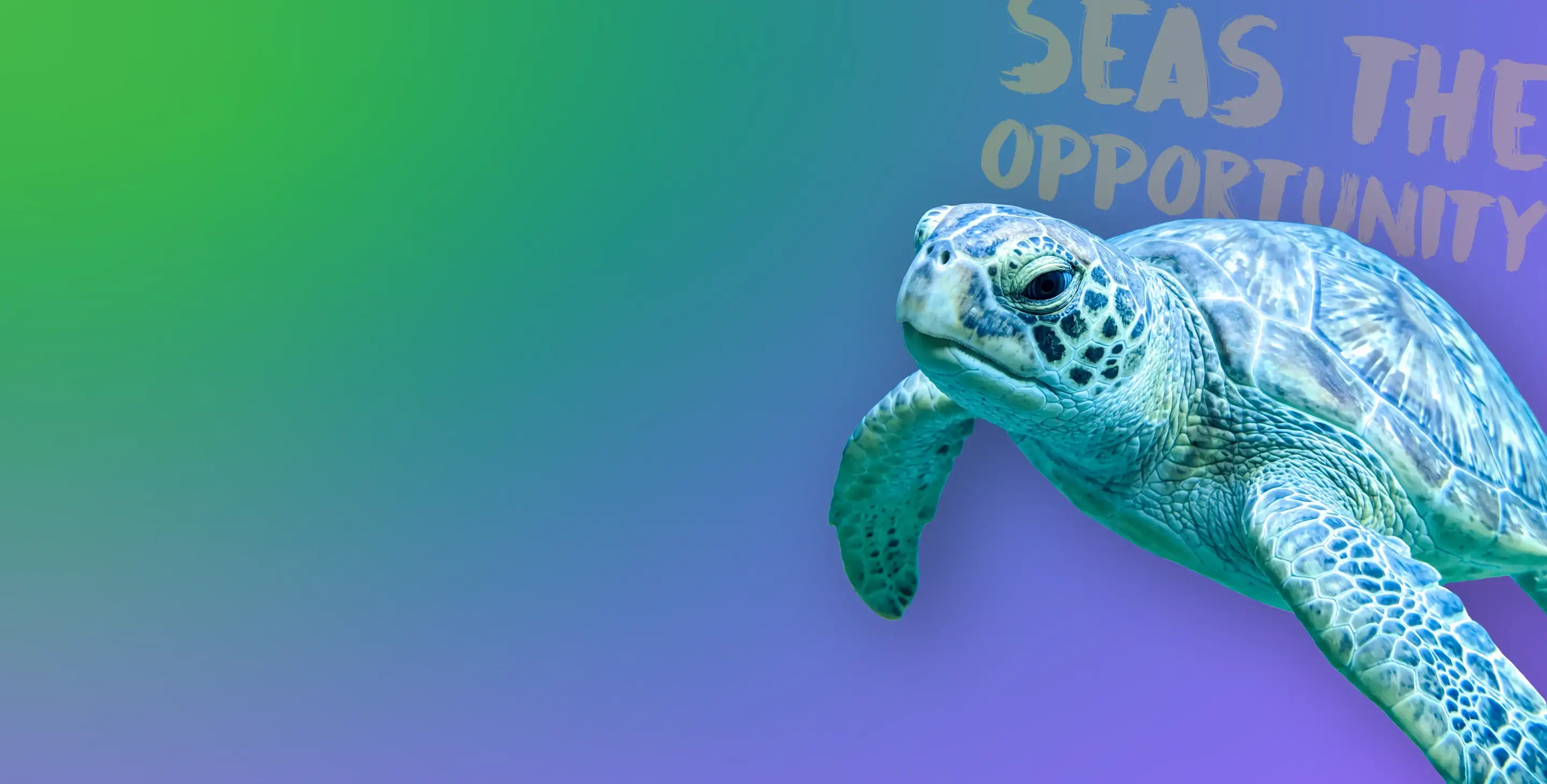 Aquarium-HeroImage-2880x1460-2