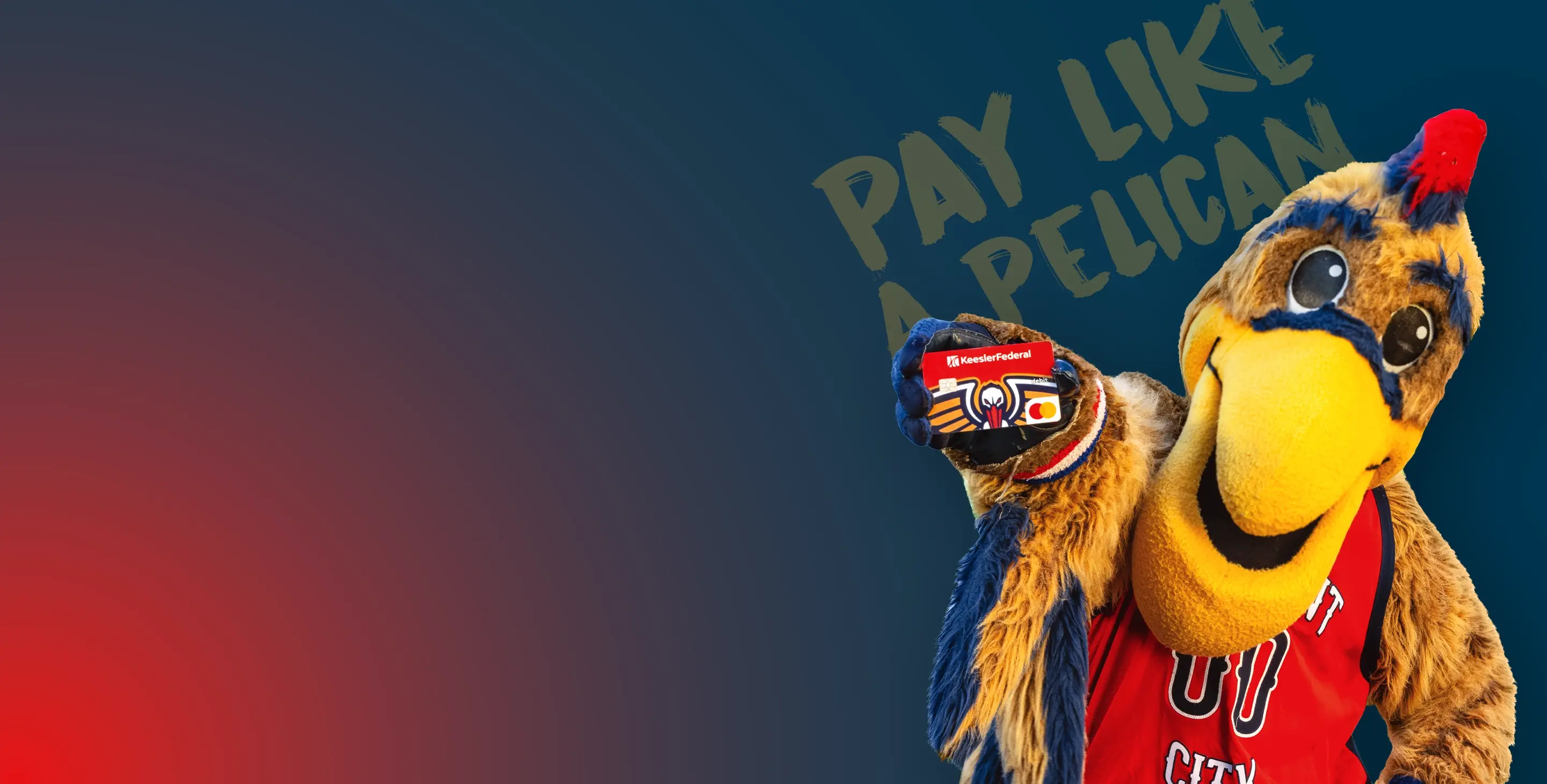 PelsDebit-HeroImage-1440x730